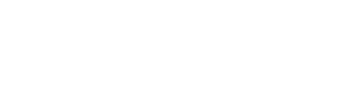 VBA Software